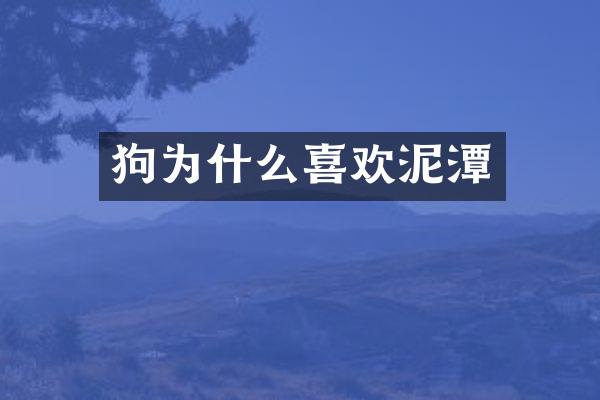 狗为什么喜欢泥潭