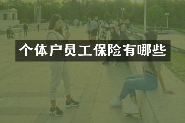 个体户员工保险有哪些