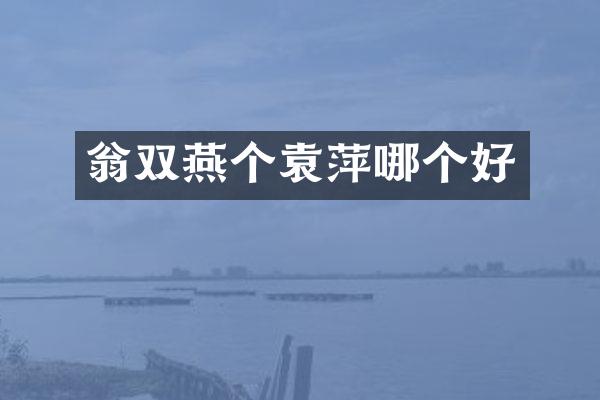 翁双燕个袁萍哪个好