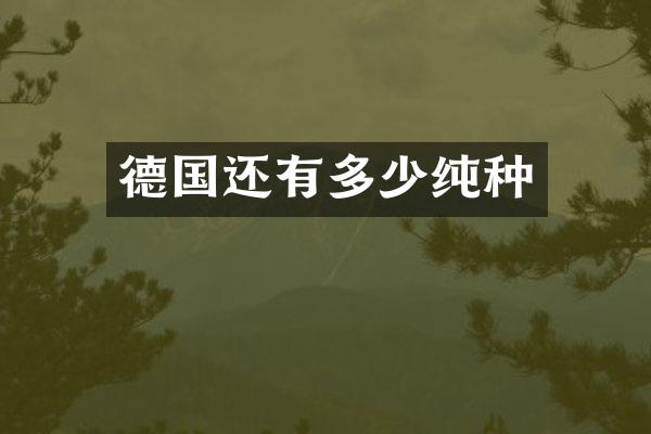 德国还有多少纯种