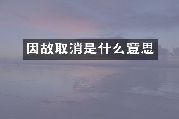 因故取消是什么意思