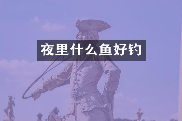 夜里什么鱼好钓