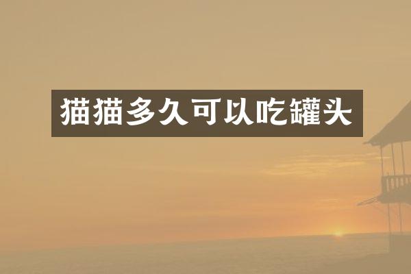 猫猫多久可以吃罐头
