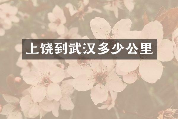上饶到武汉多少公里