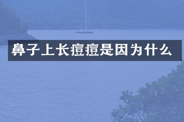 鼻子上长痘痘是因为什么