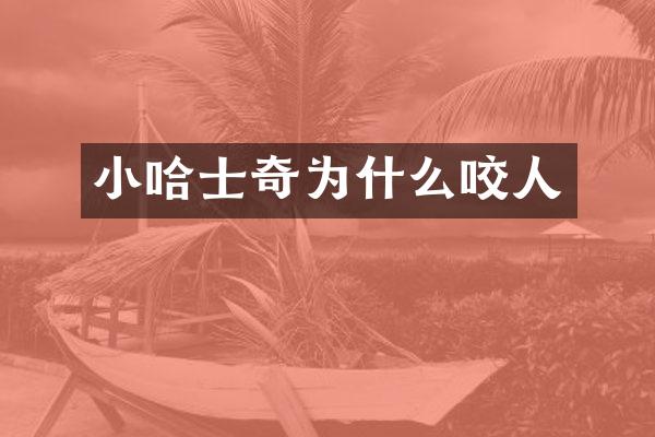 小哈士奇为什么咬人