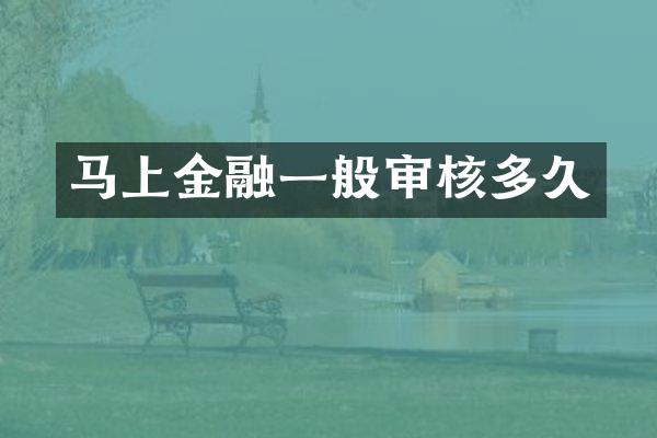 马上金融一般审核多久
