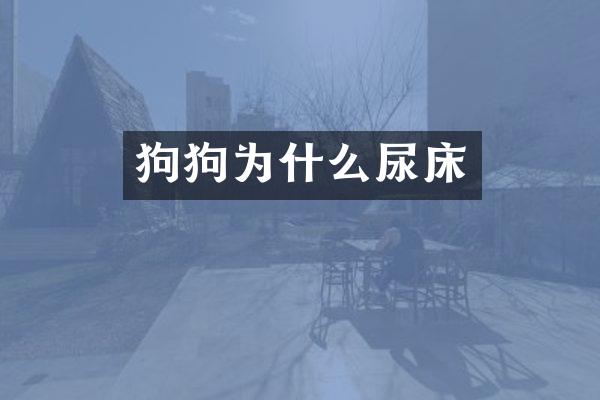 狗狗为什么尿床