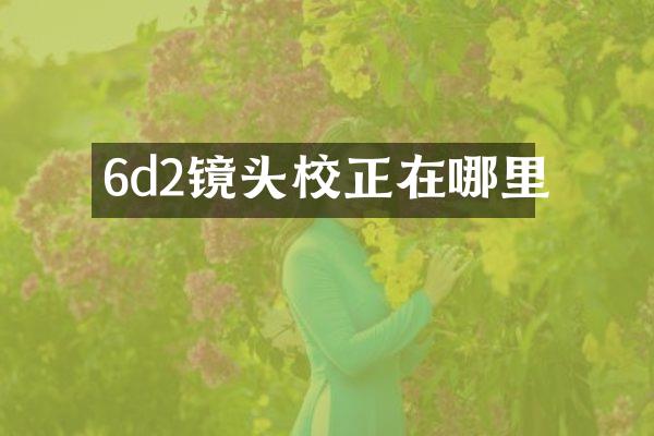 6d2镜头校正在哪里