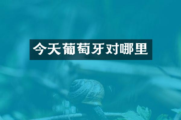 今天葡萄牙对哪里