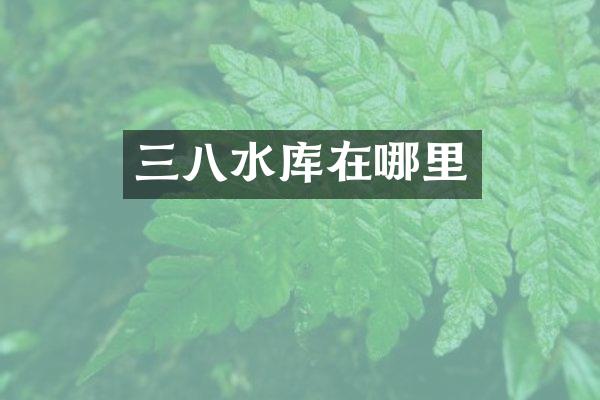三八水库在哪里