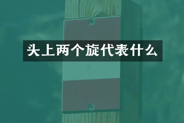 头上两个旋代表什么