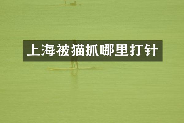 上海被猫抓哪里打针