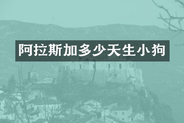 阿拉斯加多少天生小狗