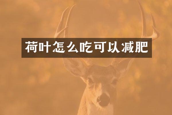 荷叶怎么吃可以减肥
