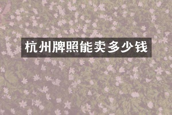 杭州牌照能卖多少钱