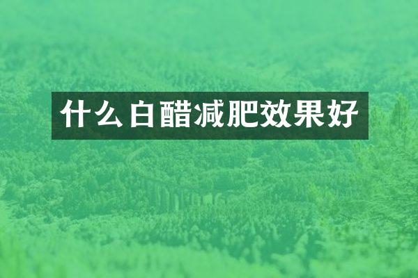 什么白醋减肥效果好