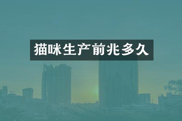 猫咪生产前兆多久