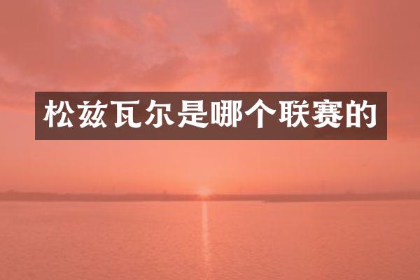 松兹瓦尔是哪个联赛的
