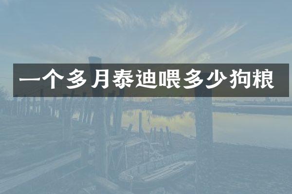 一个多月泰迪喂多少