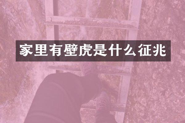 家里有壁虎是什么征兆
