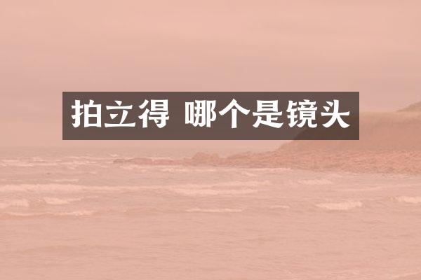 拍立得 哪个是镜头