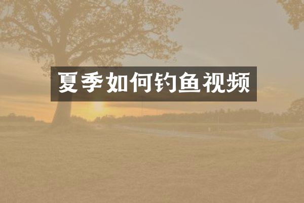 夏季如何钓鱼视频