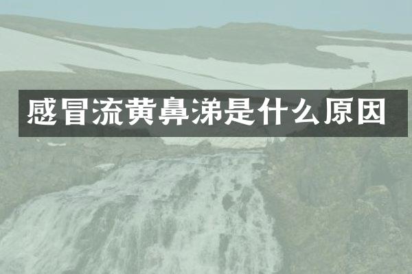 感冒流黄鼻涕是什么原因
