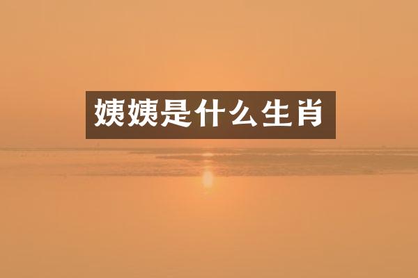 姨姨是什么生肖