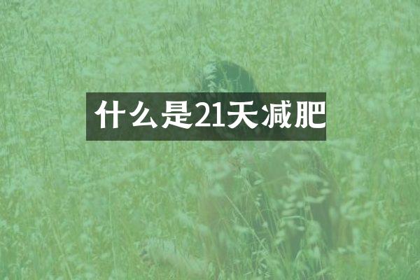 什么是21天减肥