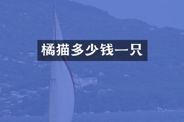 橘猫多少钱一只