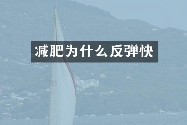 减肥为什么反弹快