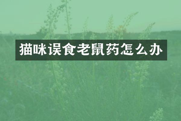 猫咪误食老鼠药怎么办
