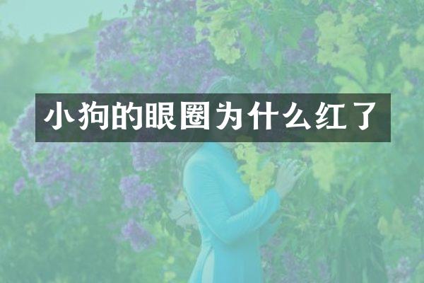 小狗的眼圈为什么红了