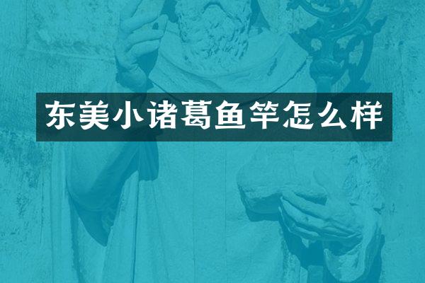东美小诸葛鱼竿怎么样