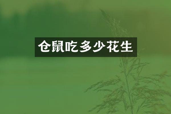 仓鼠吃多少花生