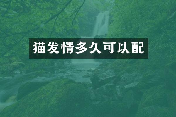 猫发情多久可以配