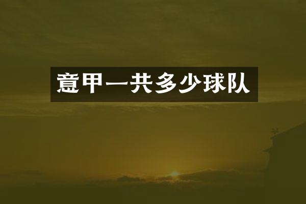 意甲一共多少球队