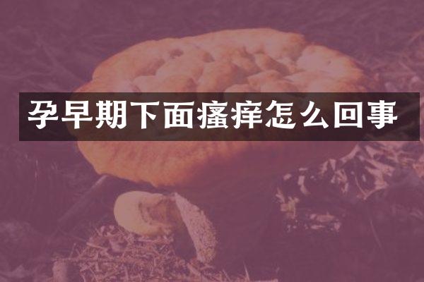 孕早期下面瘙痒怎么回事