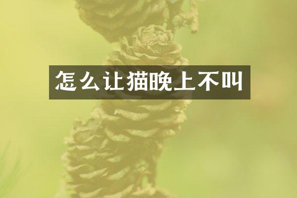 怎么让猫晚上不叫