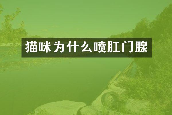 猫咪为什么喷肛门腺
