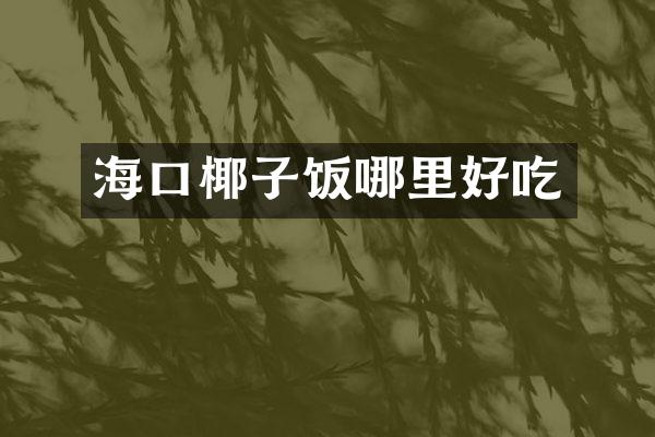 海口椰子饭哪里好吃