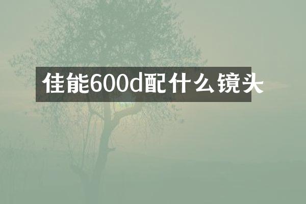 佳能600d镜头