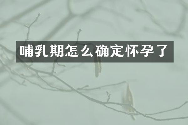哺乳期怎么确定怀孕了