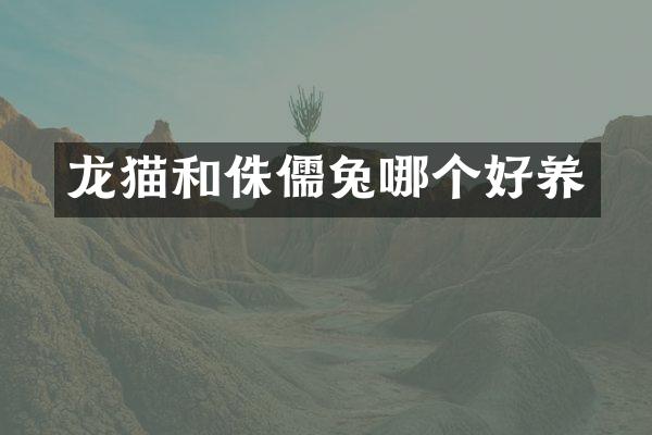 龙猫和侏儒兔哪个好养