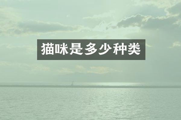 猫咪是多少种类