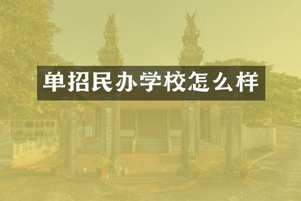 单招民办学校怎么样