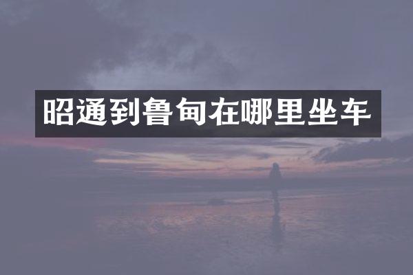 昭通到鲁甸在哪里坐车