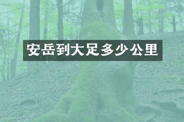 安岳到大足多少公里