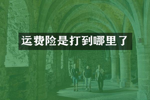 运费险是打到哪里了